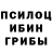 Псилоцибиновые грибы Magic Shrooms Eriks Mulers